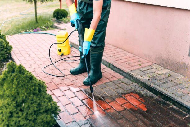 Best Roof Washing  in Dexter, GA